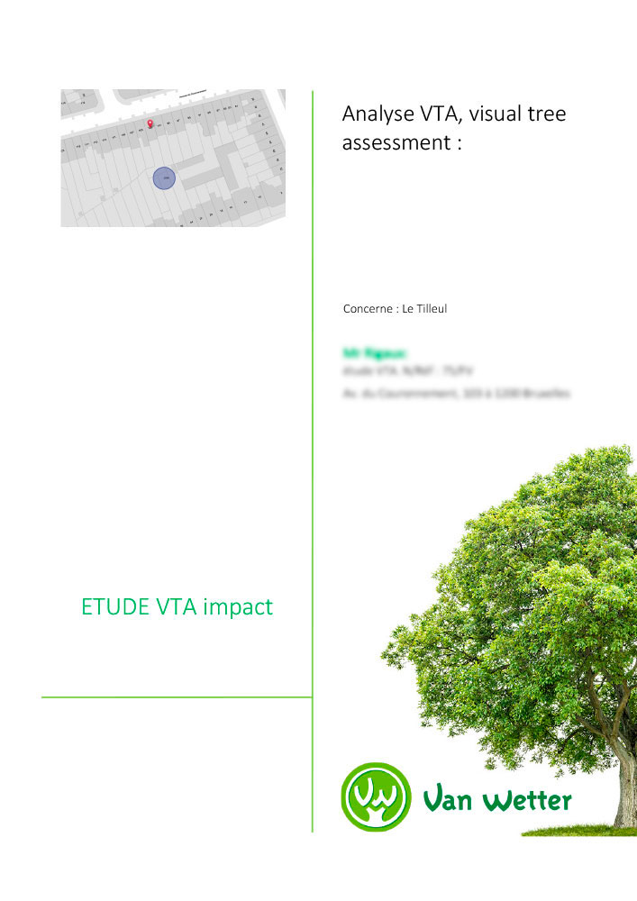 Expertise analyse VTA d'un arbre