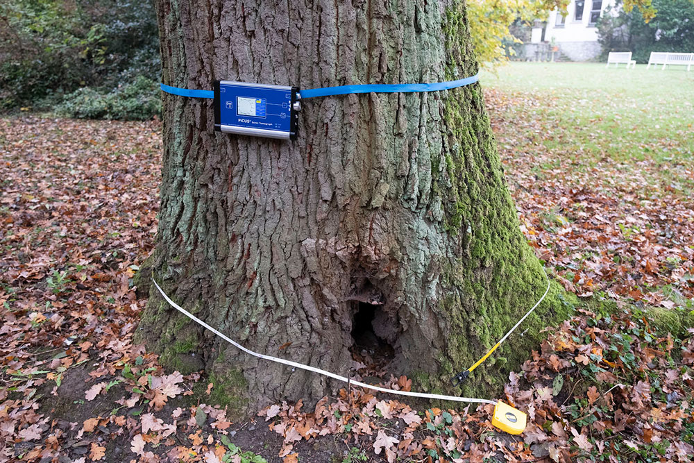 Analyse d'arbre à l'aide d'un Tomographe