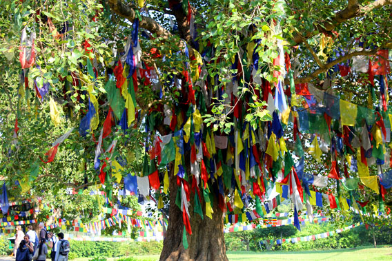 Arbre à drapeaux au Népal